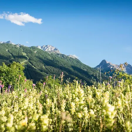 La Casa Di Olaf With Garden - Happy Rentals Lägenhet Bardonecchia